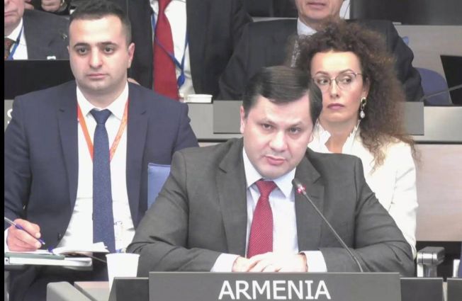 Remarks by Ambassador Khachatryan at the Committee of Ministers on January 17