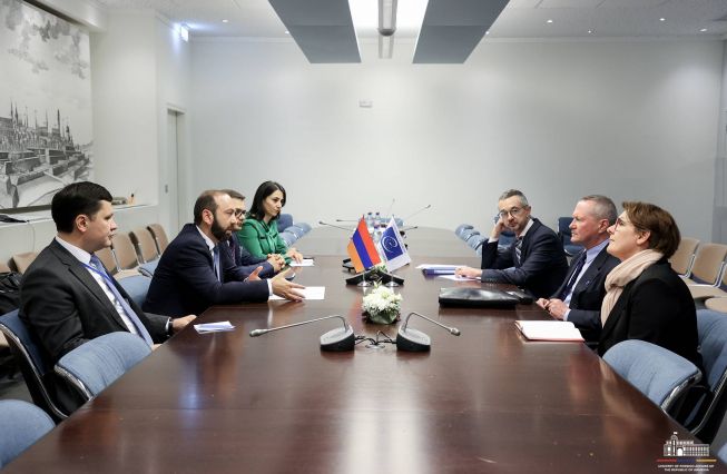 Meeting of the Foreign Minister of Armenia with the Commissioner for Human Rights of the Council of Europe