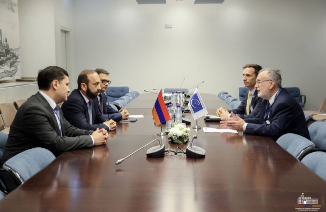 Meeting of the Foreign Minister of Armenia with the President of the Congress of CoE