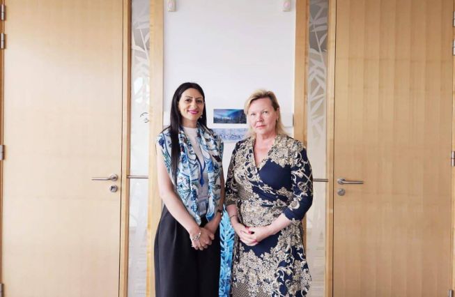 Meeting between Human Rights Defender Anahit Manasyan met with Marja Ruotanen, Director General of Democracy and Human Dignity of the Council of Europe