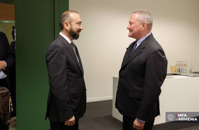 ՀՀ ԱԳ նախարարի հանդիպումը Եվրոպայի խորհրդի մարդու իրավունքների հանձնակատարի հետ