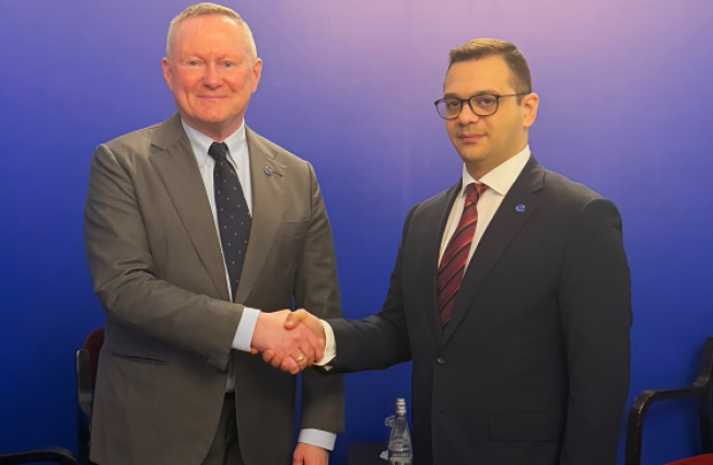 Meeting of the Deputy Minister of Foreign Affairs of Armenia with the Commissioner for Human Rights of the Council of Europe