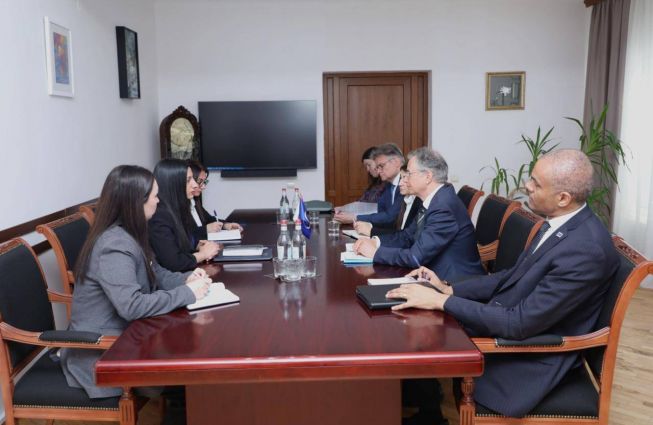 Meeting between the Human Rights Defender of the Republic of Armenia and the delegation of the Council of Europe.