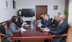 Մարդու իրավունքների պաշտպան Անահիտ Մանասյանի և Եվրոպայի խորհրդի պատվիրակության հանդիպումը