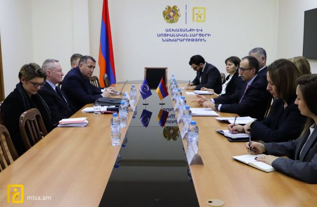 Աշխատանքի և սոցիալական հարցերի նախարարի և ԵԽ մարդու իրավունքների հանձնակատարի հանդիպմն վերաբերյալ