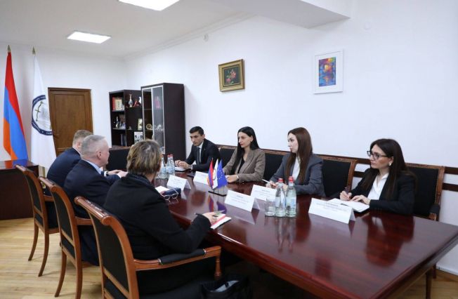 Meeting between the Human Rights Defender of Armenia and the Council of Europe Commissioner for Human Rights