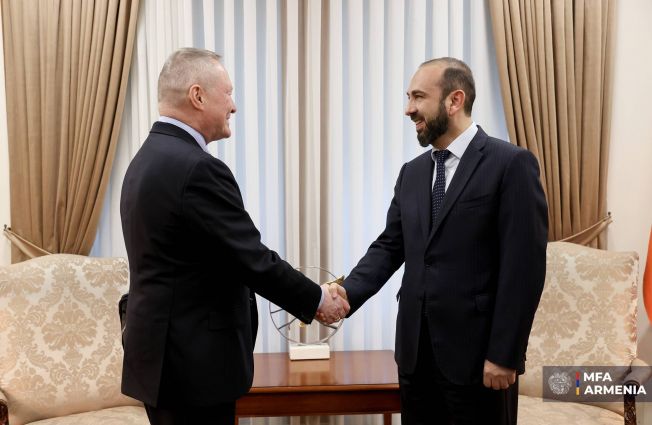Meeting of the Foreign Minister of Armenia with Commissioner for Human Rights of the Council of Europe