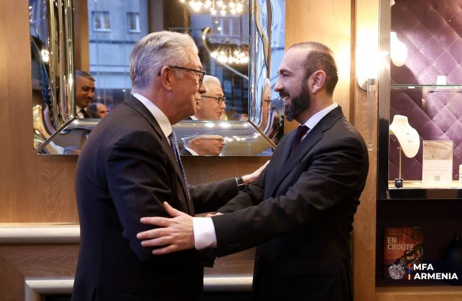 Meeting of the Foreign Minister of Armenia with the previous President of PACE