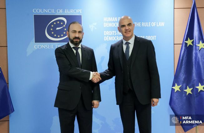 Meeting of the Minister of Foreign Affairs of the Republic of Armenia with the Secretary General of the Council of Europe